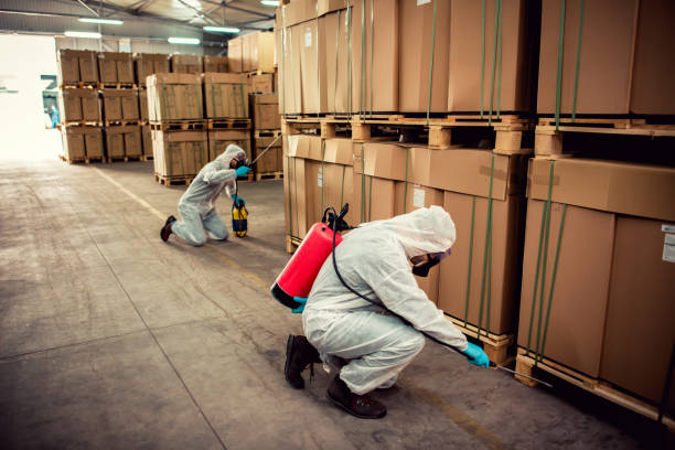 Pest Prevention Services in Stroudsburg, PA