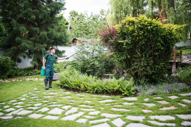 Best Mosquito Control Services  in Stroudsburg, PA